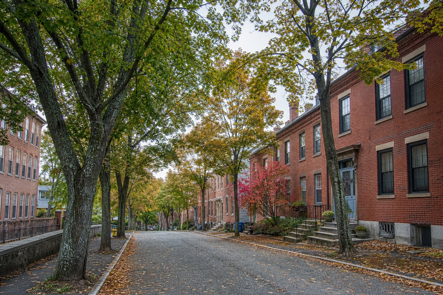 A tree lined residential street in a Massachusetts town, illustrative